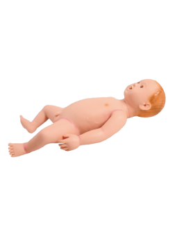 INFANT NURSING MODEL 